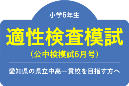 公立中高一貫校 適性検査模試