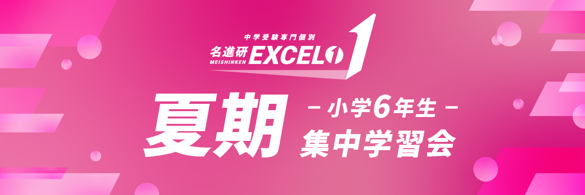 EXCEL1 夏期集中学習会