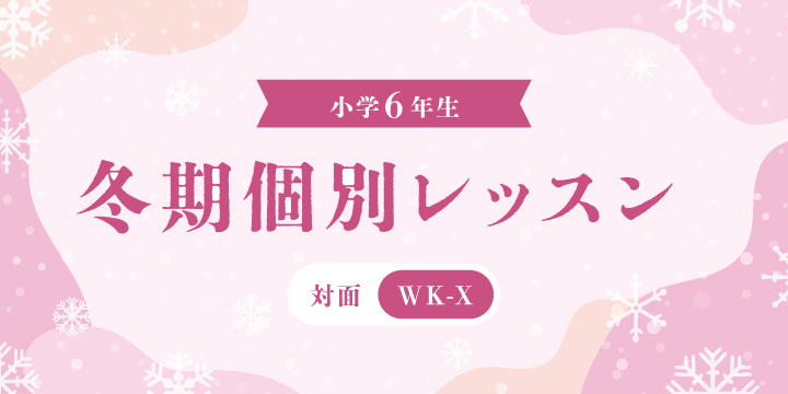 中学受験専門個別 名進研EXCEL1 冬期講習2025 受付終了 ｜ 名古屋
