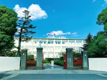 {{brizy_dc_image_alt imageSrc=