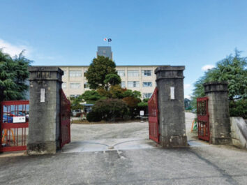 {{brizy_dc_image_alt imageSrc=