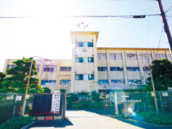 {{brizy_dc_image_alt imageSrc=