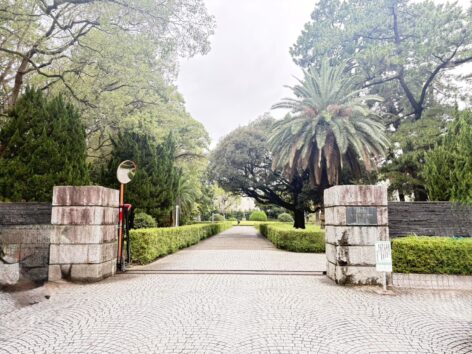 {{brizy_dc_image_alt imageSrc=