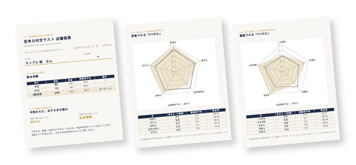小2-3ハイレベル思考力判定テスト_個票